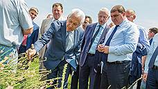 Флора против фауны