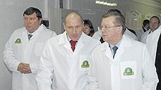 Куриная магнитная аномалия