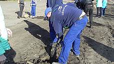 В духе уважения к планете