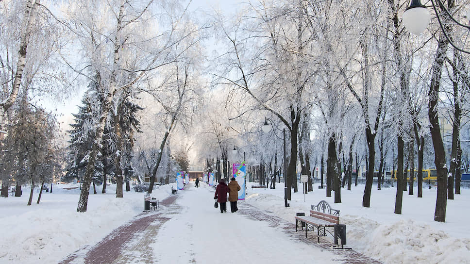 Январь 2011 года. Кольцовский сквер в Воронеже морозным утром после снегопада