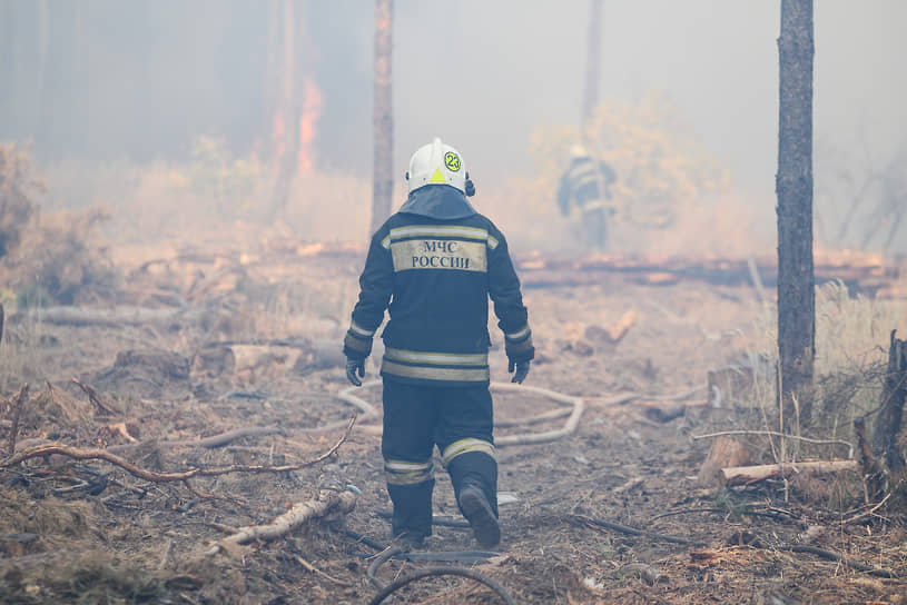 Локализованный на 50 га пожар в Медовке удалось полностью ликвидировать спустя сутки — в 9:40 понедельника