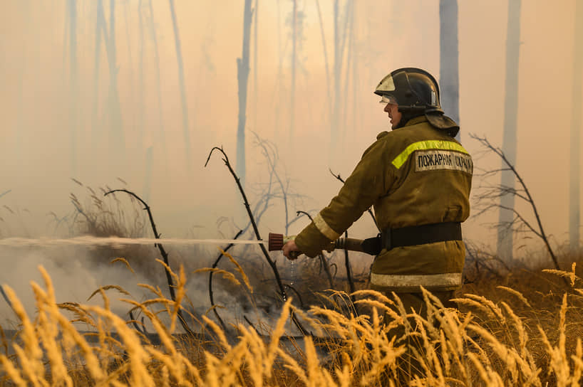 По данным областного управления лесного хозяйства, пожар в лесу южнее Новоподклетного произошел «на частной территории, приобретенной гражданами для строительства»
