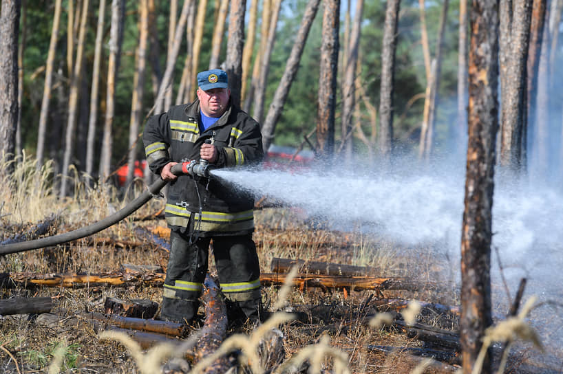 Сгоревший лес в Новоподклетном, по данным публичной кадастровой карты, разделен на сотни типовых участков для жилищного строительства