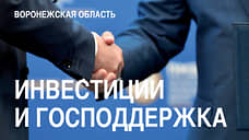 Воронежская область: инвестиции и господдержка