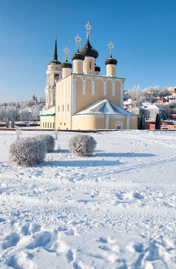 Воронежа, Успенская Адмиралтейская церковь (XVII в.), 2011 год