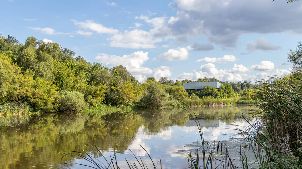Озеро Круглое в Подгорном — здесь часто гулял и писал этюды художник