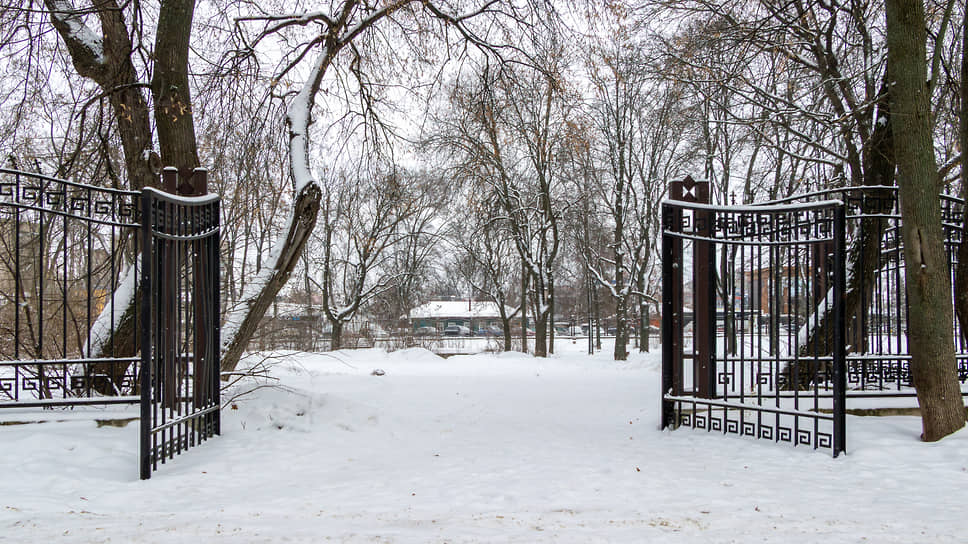 Бринкманский сад зимой в Воронеже