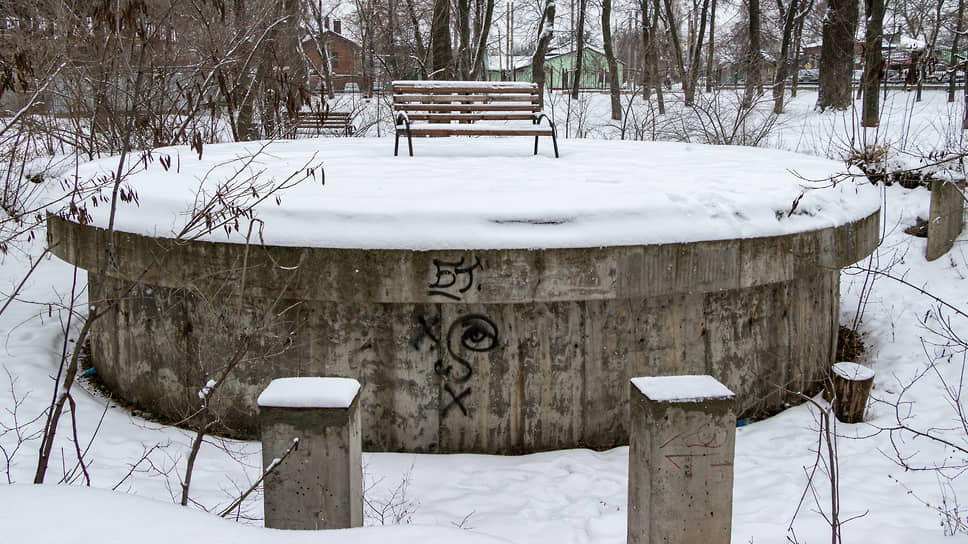 Бринкманский сад зимой в Воронеже
