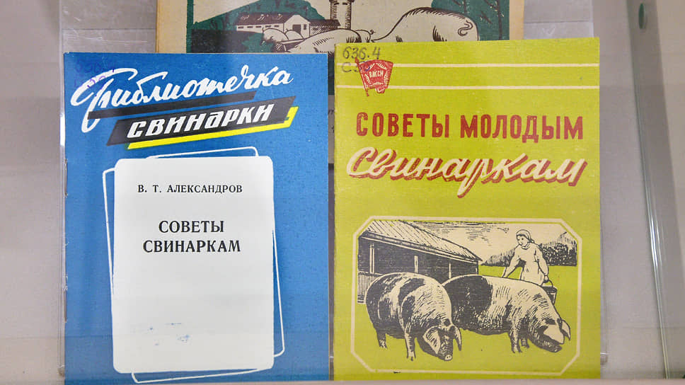 Выставка в Воронежском областном краеведческом музее «Воронежский кувшин», посвященная 90-летию образования Воронежской области.