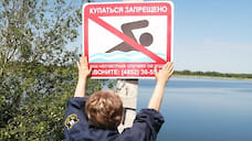 Роспотребнадзор запретил купаться на Тверицком пляже Ярославля