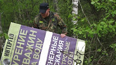Ярославские лесные инспекторы очищают деревья от рекламных баннеров