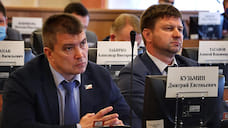 Самый богатый депутат Ярославля заработал 103 млн рублей