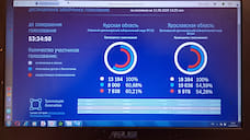 В Ярославской области явка в электронном голосовании превысила 50%