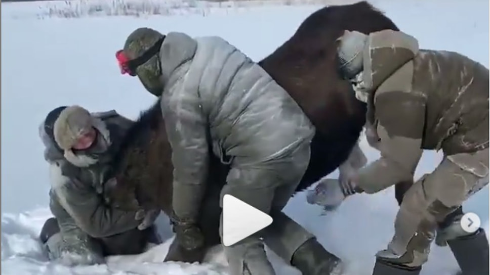 Фото: скриншот видео со страницы в Instagram Глеба Корнилова