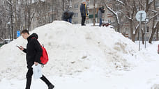 В Ярославле инспекция ищет организации, складирующие снег в городе