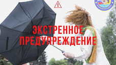 МЧС объявило в Ярославской области штормовое предупреждение