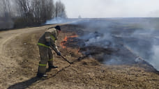 В Ярославской области произошло еще 93 поджога сухой травы