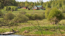 Более 100 земельных участков выделили ярославским многодетным и молодым семьям