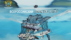 Ярославская область присоединилась к «Всероссийскому дню без сетей»