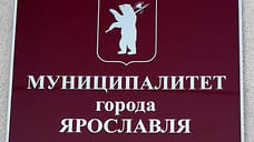 Депутат предложил мэру Ярославля добровольно уйти в отставку