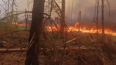 Похолодание в Ярославской области не отменило угрозу пожаров