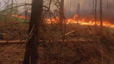 МЧС предупредило о чрезвычайной пожароопасности в Ярославской области