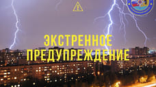 МЧС в Ярославле выпустило экстренное предупреждение о грозе и ливне