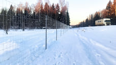 На трассе М-8 «Холмогоры» в Ярославской области установили защитные ограждения от диких животных