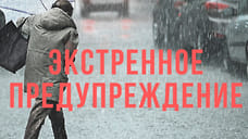 Ярославское МЧС экстренно предупредило о сильном ветре 28 марта