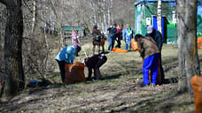 В Ярославле 23 апреля устроят общегородской субботник