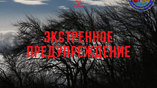 В МЧС предупредили об усилении ветра 5 апреля в Ярославском регионе