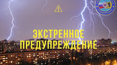 Ярославское МЧС экстренно предупредило о грозе и сильном ветре