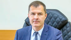Экс-мэр Ярославля Владимир Волков назначен врио главы Люберец