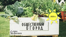 Мэрия предложила ярославцам арендовать грядки в центральном парке