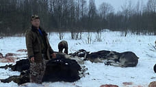 Прокуратура в Ярославле потребовала расторгнуть соглашение о тутаевских охотничьих угодьях