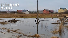Под Ярославлем затопило земельные участки многодетных матерей