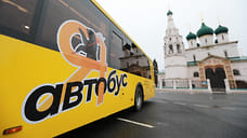 Перевозчик вложил 2,9 млрд рублей в закупку новых автобусов для Ярославля