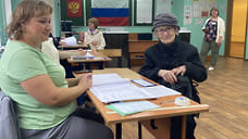В Ярославской области проголосовала четверть избирателей