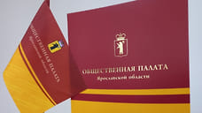 Началось выдвижение кандидатов в областную общественную палату