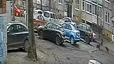 В Ярославле прокуратура подаст в суд на хозяев собак, напавших на ребенка