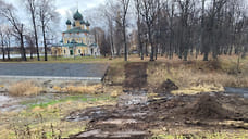 В Угличе для проекта «Крепость, которой нет» вырубят шесть деревьев