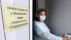Эпидпорог по ОРВИ в Ярославской области превышен на 23,2%