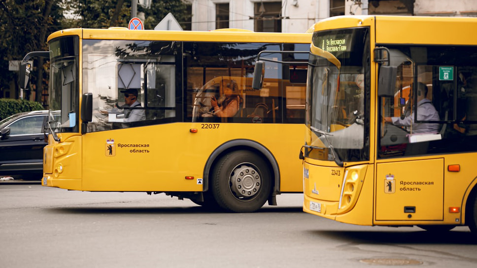 Новые автобусы в Ярославле