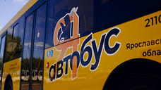 В Ярославле вагоновожатым предложат пересесть на автобусы
