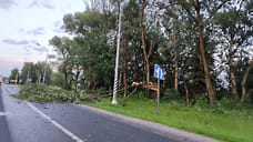 Поваленные смерчем деревья создали пробку на трассе Ярославль — Кострома