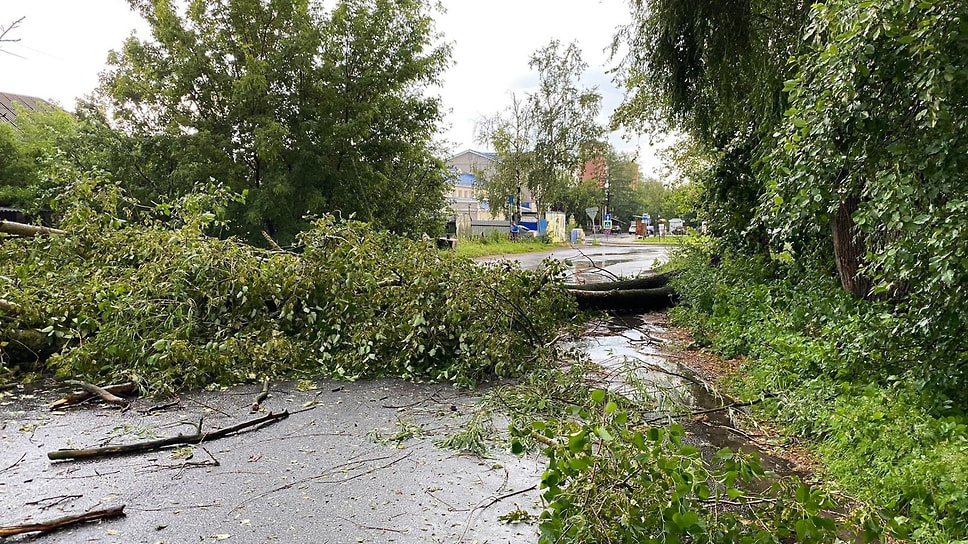 последствия урагана в Данилове