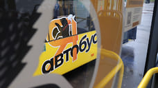 В Ярославле появятся разовые проездные билеты