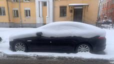 Высота снежного покрова в Ярославле составила 22 см