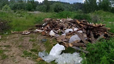 Несанкционированную свалку под Рыбинском уберут до конца сентября