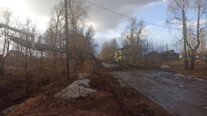 С водоканала взыскали 827 тысяч рублей за падение дерева на подростка в Тутаеве